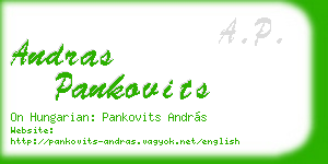 andras pankovits business card